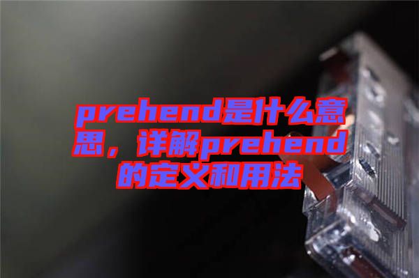 prehend是什么意思，詳解prehend的定義和用法