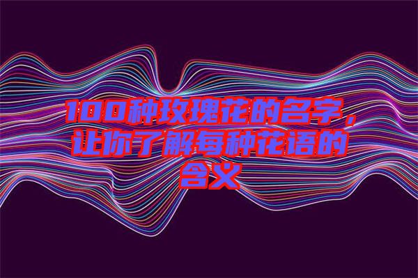 100種玫瑰花的名字，讓你了解每種花語的含義