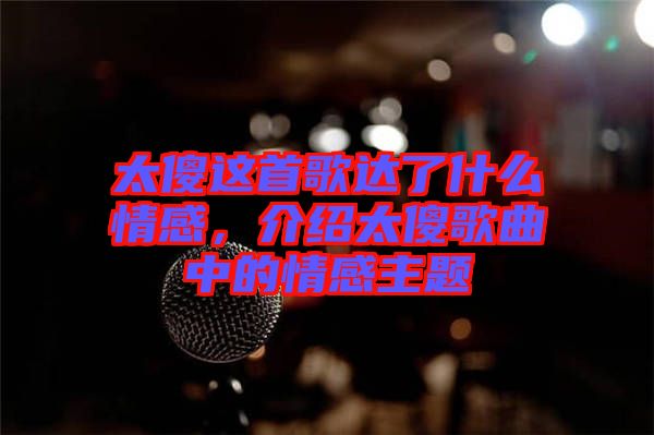 太傻這首歌達了什么情感，介紹太傻歌曲中的情感主題