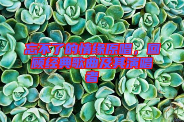 忘不了的情緣原唱，回顧經(jīng)典歌曲及其演唱者