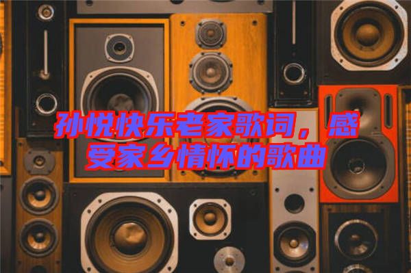 孫悅快樂老家歌詞，感受家鄉(xiāng)情懷的歌曲