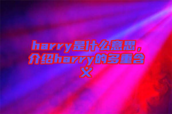 harry是什么意思，介紹harry的多重含義