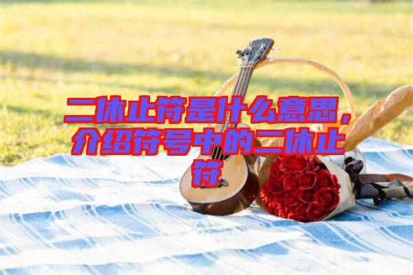 二休止符是什么意思，介紹符號中的二休止符