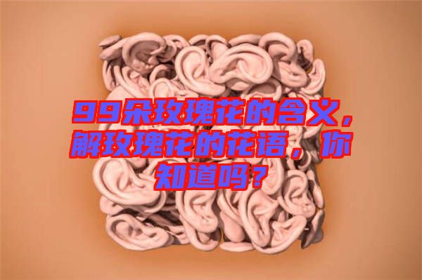 99朵玫瑰花的含義，解玫瑰花的花語，你知道嗎？