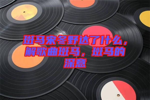 斑馬宋冬野達(dá)了什么，解歌曲斑馬，斑馬的深意