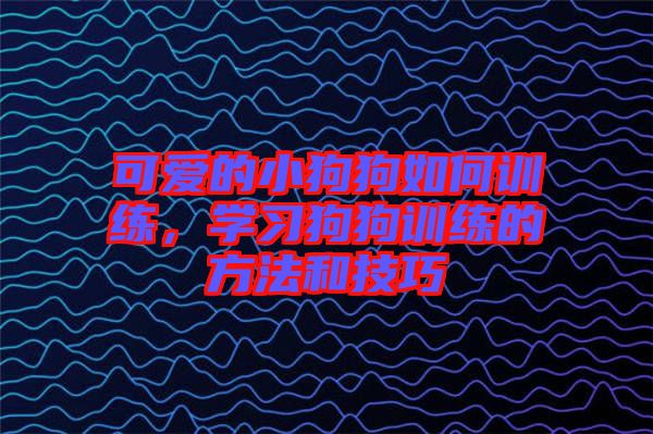 可愛的小狗狗如何訓(xùn)練，學(xué)習(xí)狗狗訓(xùn)練的方法和技巧