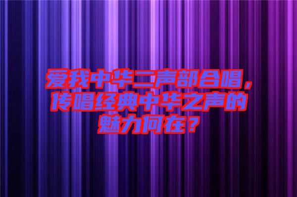 愛(ài)我中華二聲部合唱，傳唱經(jīng)典中華之聲的魅力何在？