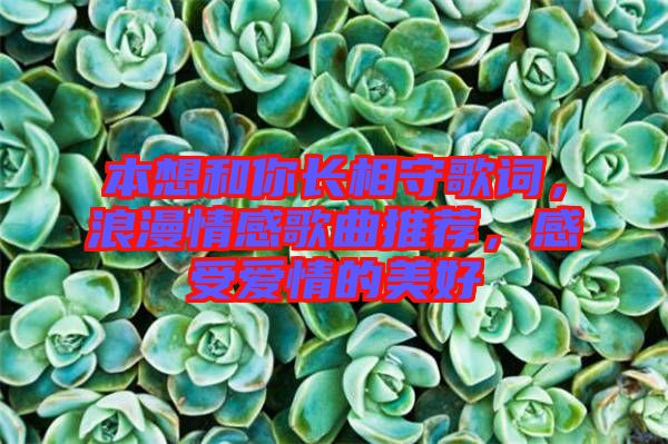 本想和你長(zhǎng)相守歌詞，浪漫情感歌曲推薦，感受愛情的美好