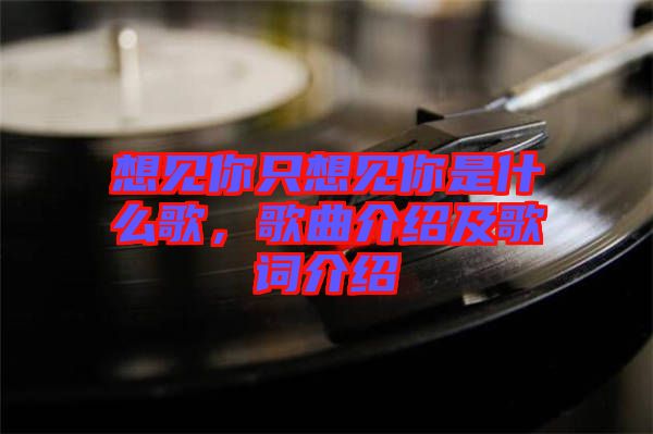 想見(jiàn)你只想見(jiàn)你是什么歌，歌曲介紹及歌詞介紹