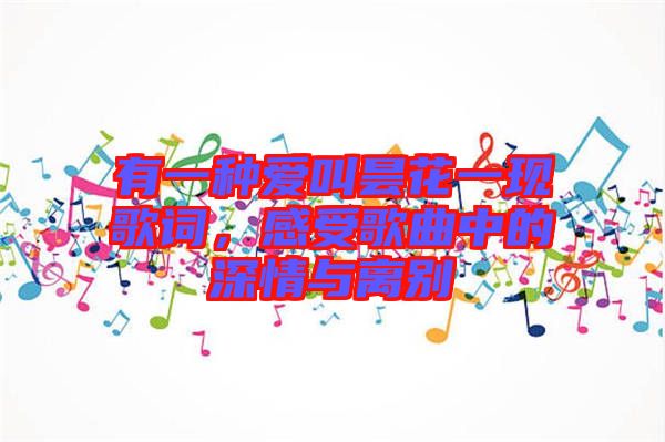 有一種愛叫曇花一現(xiàn)歌詞，感受歌曲中的深情與離別