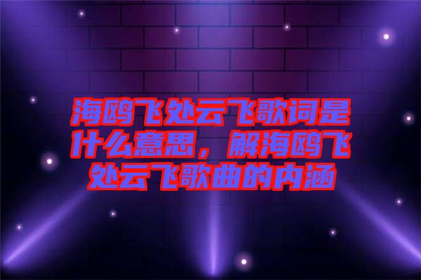 海鷗飛處云飛歌詞是什么意思，解海鷗飛處云飛歌曲的內(nèi)涵