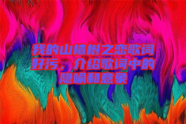 我的山楂樹之戀歌詞好污，介紹歌詞中的隱喻和意象