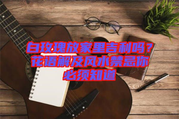 白玫瑰放家里吉利嗎？花語(yǔ)解及風(fēng)水禁忌你必須知道