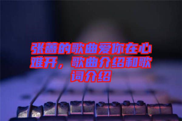 張薔的歌曲愛你在心難開，歌曲介紹和歌詞介紹