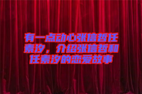 有一點動心張信哲任素汐，介紹張信哲和任素汐的戀愛故事