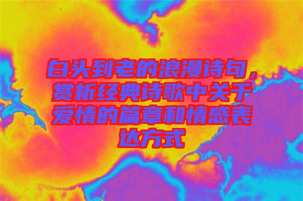 白頭到老的浪漫詩句，賞析經(jīng)典詩歌中關(guān)于愛情的篇章和情感表達(dá)方式