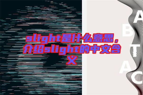 slight是什么意思，介紹slight的中文含義