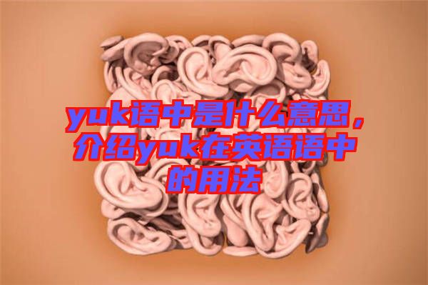 yuk語中是什么意思，介紹yuk在英語語中的用法