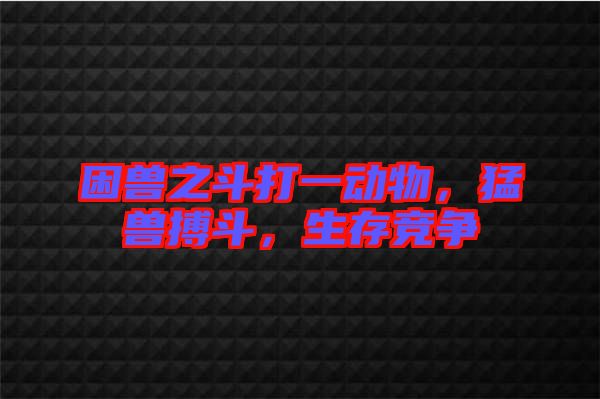 困獸之斗打一動物，猛獸搏斗，生存競爭