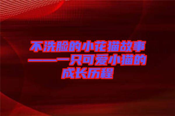 不洗臉的小花貓故事——一只可愛小貓的成長歷程