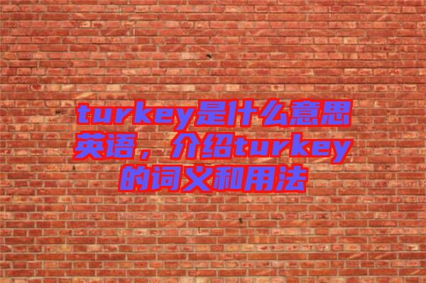 turkey是什么意思英語，介紹turkey的詞義和用法