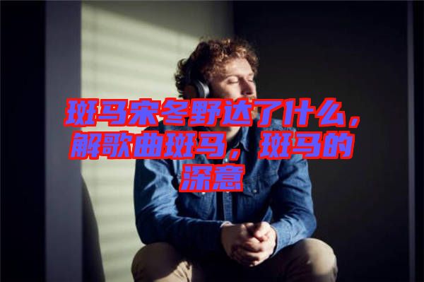 斑馬宋冬野達(dá)了什么，解歌曲斑馬，斑馬的深意