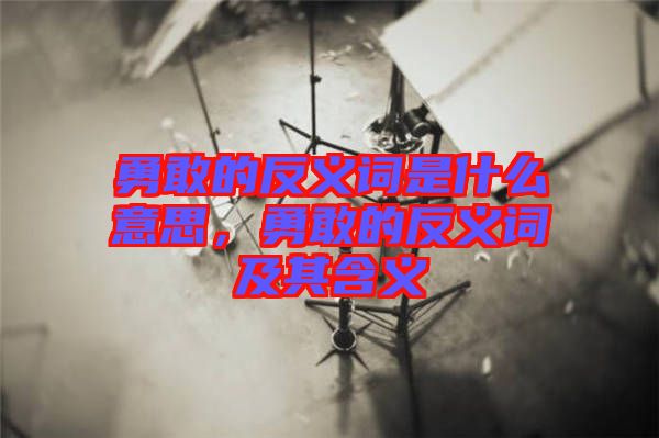 勇敢的反義詞是什么意思，勇敢的反義詞及其含義