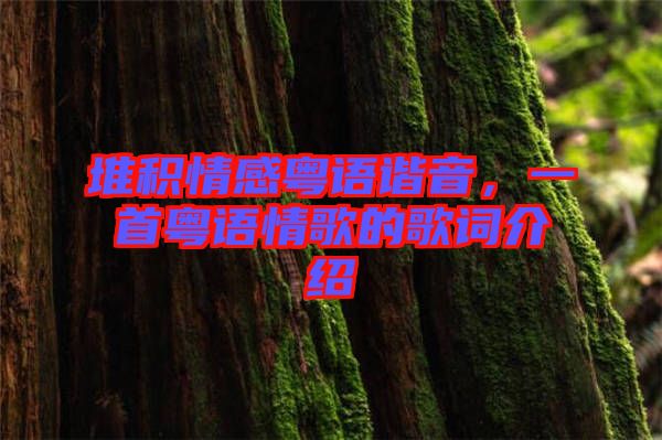 堆積情感粵語諧音，一首粵語情歌的歌詞介紹