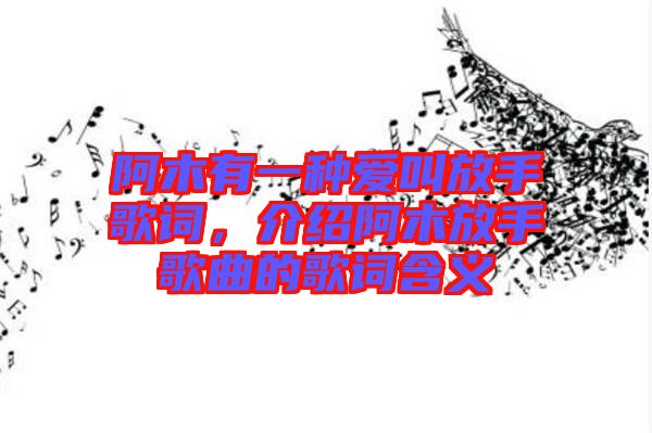 阿木有一種愛叫放手歌詞，介紹阿木放手歌曲的歌詞含義