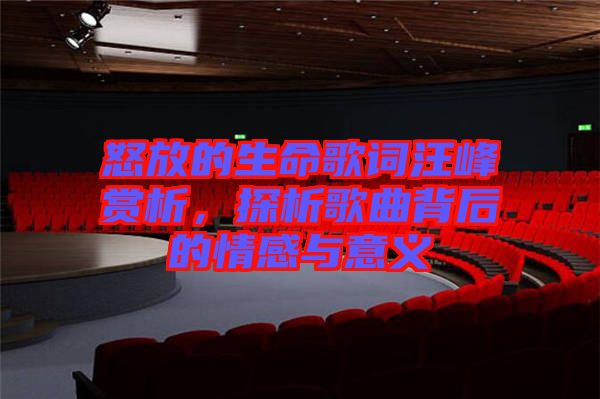 怒放的生命歌詞汪峰賞析，探析歌曲背后的情感與意義