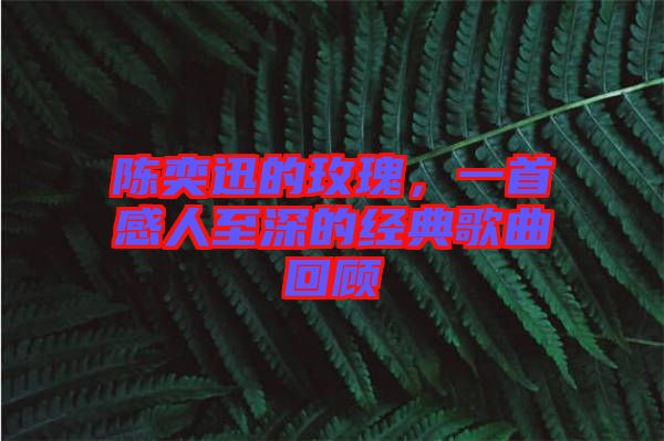 陳奕迅的玫瑰，一首感人至深的經(jīng)典歌曲回顧