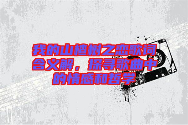 我的山楂樹之戀歌詞含義解，探尋歌曲中的情感和哲學(xué)