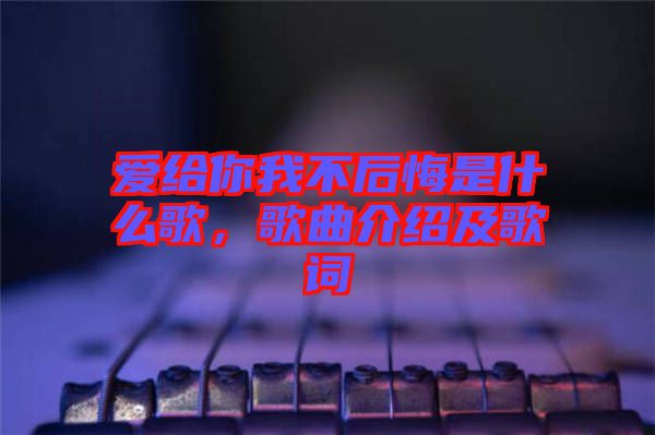 愛給你我不后悔是什么歌，歌曲介紹及歌詞