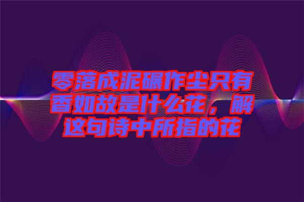 零落成泥碾作塵只有香如故是什么花，解這句詩中所指的花