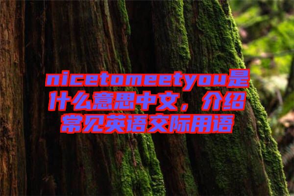 nicetomeetyou是什么意思中文，介紹常見英語交際用語