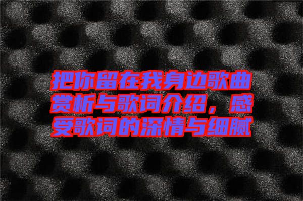 把你留在我身邊歌曲賞析與歌詞介紹，感受歌詞的深情與細(xì)膩