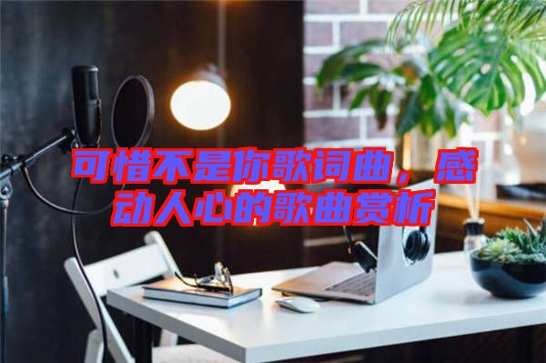 可惜不是你歌詞曲，感動人心的歌曲賞析