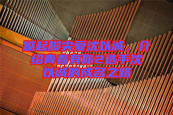 踮起腳尖愛沈以誠，介紹青春有你2選手沈以誠的成名之路