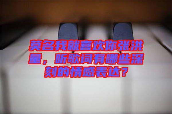 莫名我就喜歡你張洪量，聽歌詞有哪些深刻的情感表達(dá)？