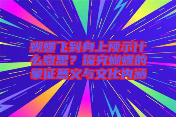 蝴蝶飛到身上預示什么意思？探究蝴蝶的象征意義與文化內(nèi)涵