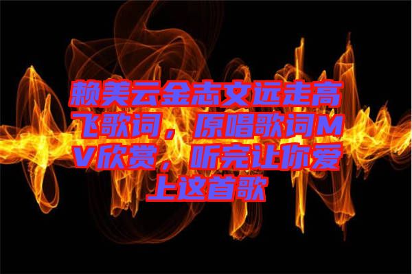 賴美云金志文遠(yuǎn)走高飛歌詞，原唱歌詞MV欣賞，聽完讓你愛上這首歌