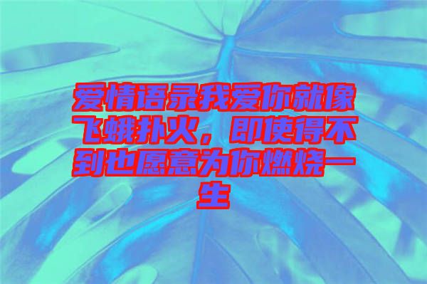 愛情語錄我愛你就像飛蛾撲火，即使得不到也愿意為你燃燒一生