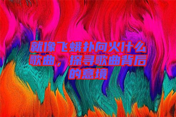 就像飛蛾撲向火什么歌曲，探尋歌曲背后的意境