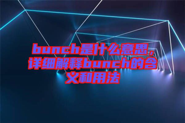 bunch是什么意思，詳細(xì)解釋bunch的含義和用法