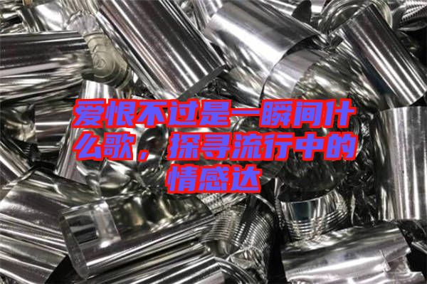 愛恨不過是一瞬間什么歌，探尋流行中的情感達(dá)