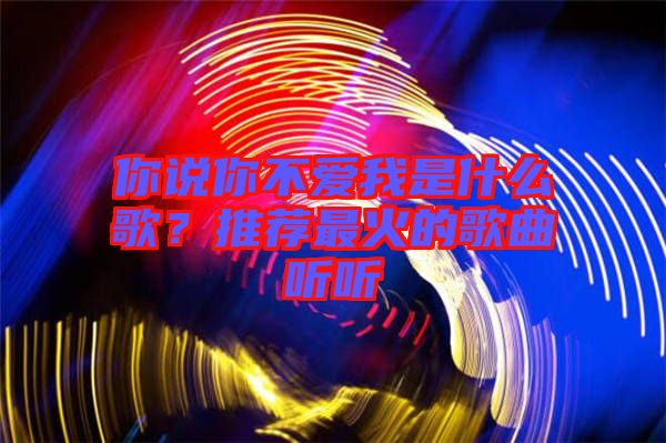 你說你不愛我是什么歌？推薦最火的歌曲聽聽