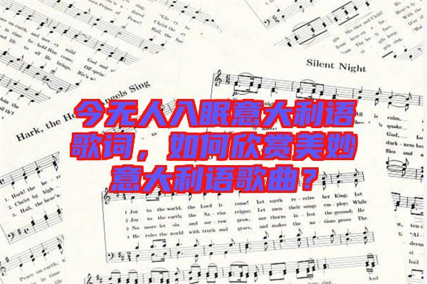 今無人入眠意大利語歌詞，如何欣賞美妙意大利語歌曲？