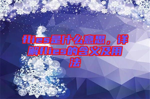 flies是什么意思，詳解flies的含義及用法