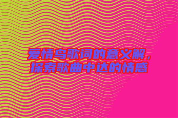 愛情鳥歌詞的意義解，探索歌曲中達(dá)的情感