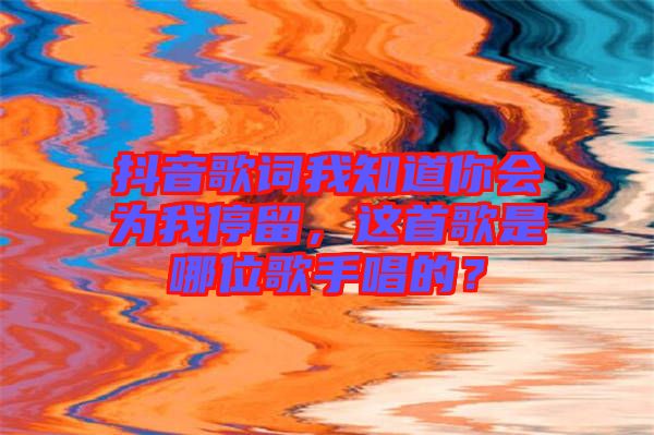 抖音歌詞我知道你會為我停留，這首歌是哪位歌手唱的？